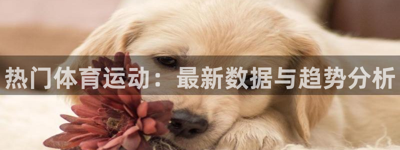 看球体育app手机版免费