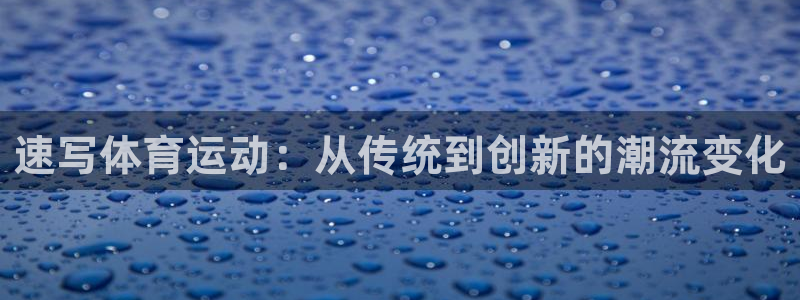 看球体育电视app