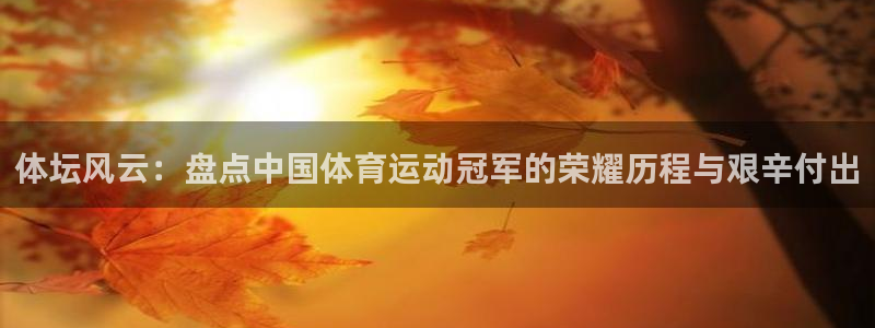 88看球体育