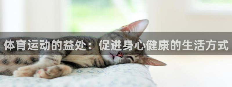 看球体育APP官方免费下载：体育运动的益处：促进身心健康的生活方式