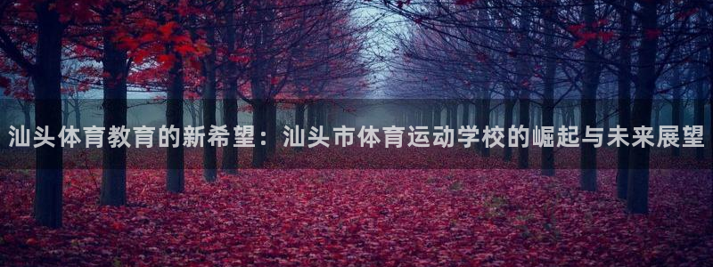 关键词