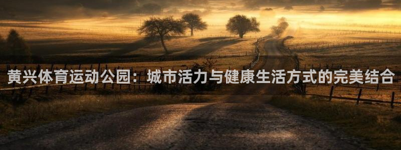 看球体育app最新版：黄兴体育运动公园：城市活力与健康生活方式的完美结合