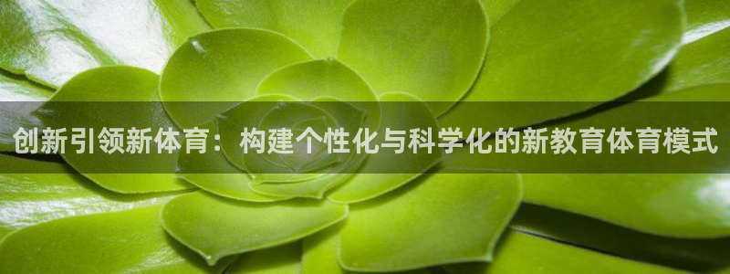 看球体育直播app官网免费：创新引领新体育：构建个性化与科学化的新教育体育模式