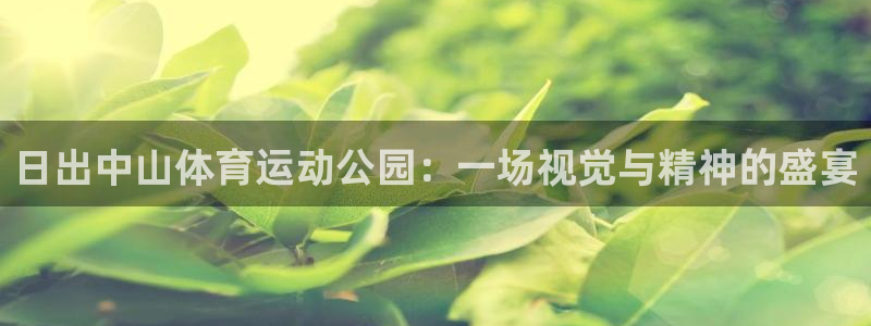 看球体育高清直播在线观看