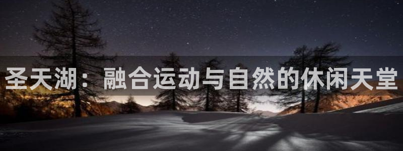 看球体育平台