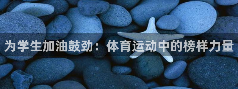 看球体育聚合app