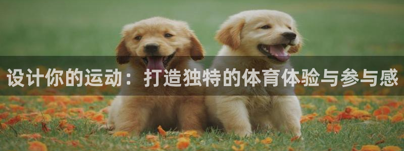 看球体育下载