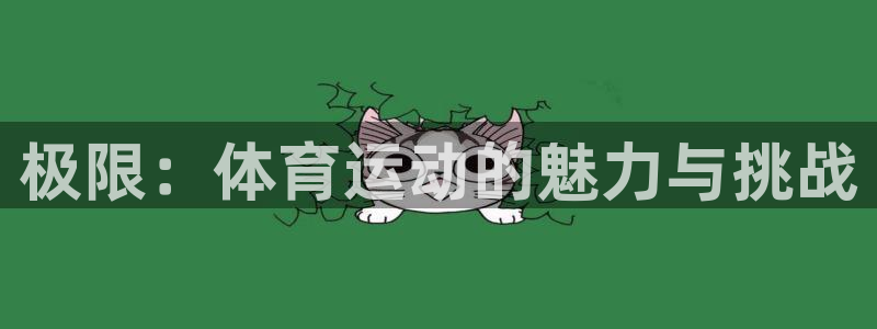 看球体育足球直播