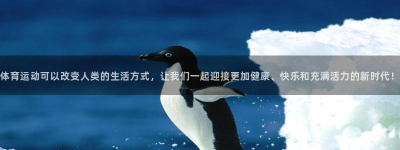 看球体育广西速伟