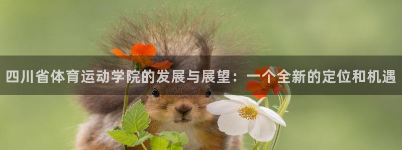 看球体育聚合app